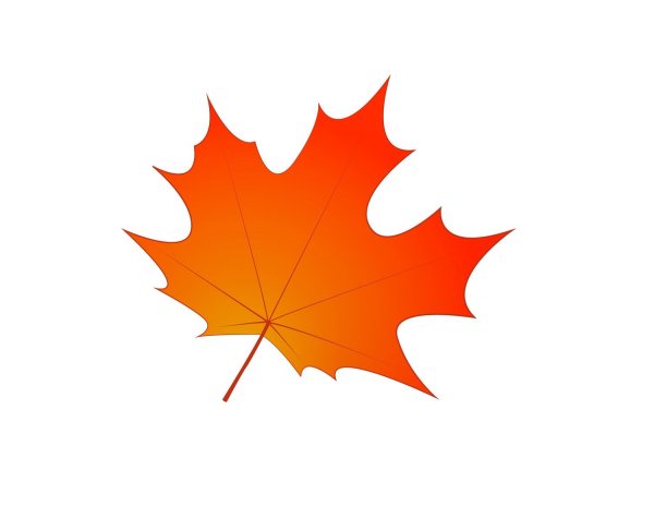 Кленовый лист