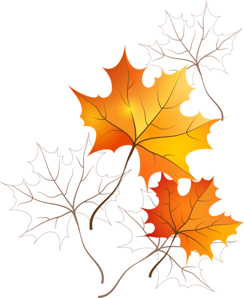 Клипарт осенние листья на прозрачном фоне
