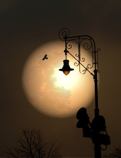 Фонарь Луна