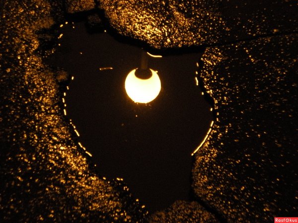 Отражение Луны в луже