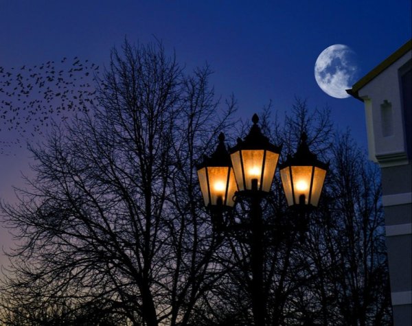 Фонари ночью