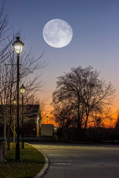 Ночь Луна фонарь