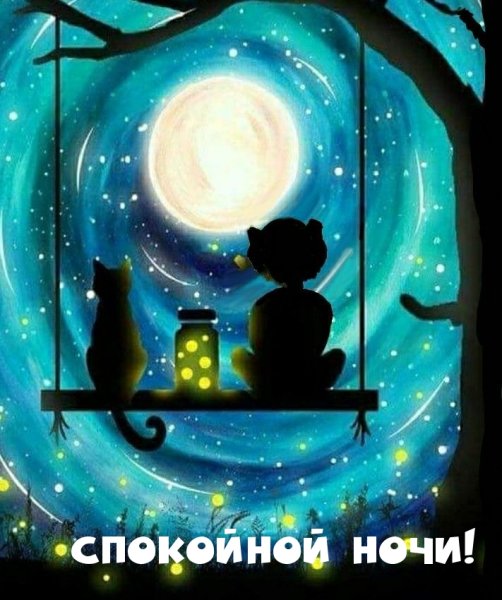 Сказочная ночь