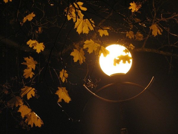 Окно в ночь осень