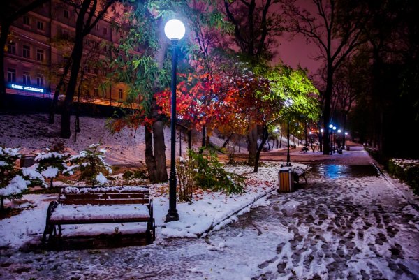 Первый снег ночью