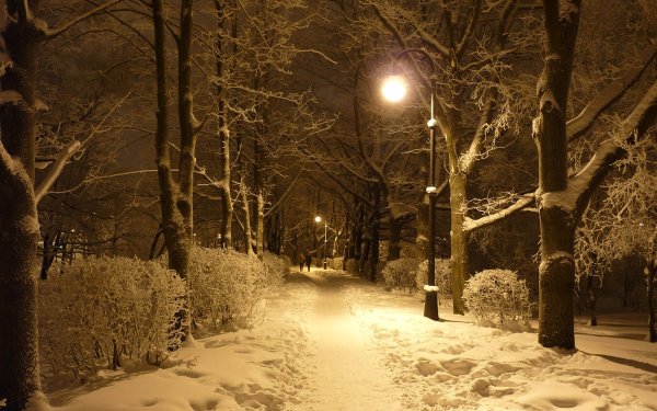 Зимняя аллея вечером