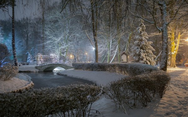 Вечерний зимний парк