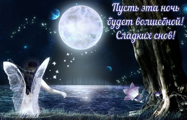 Чудесных и волшебных снов