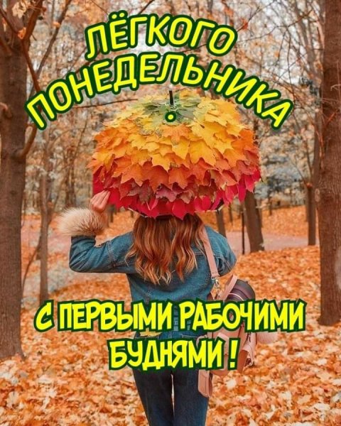 Понедельник осень