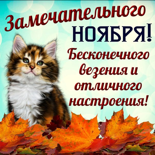 Поздравление с ноябрем открытки