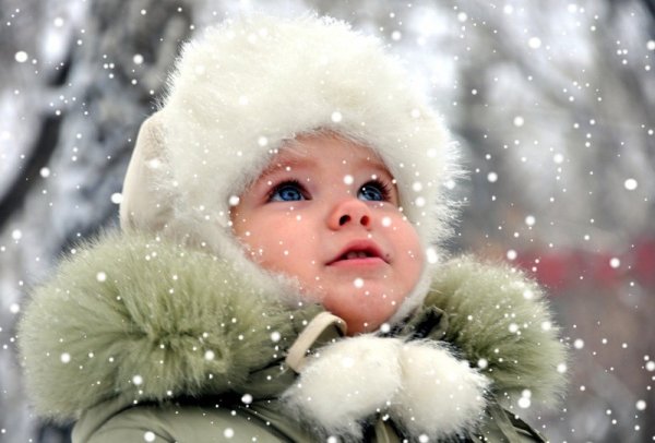 Первые снежинки