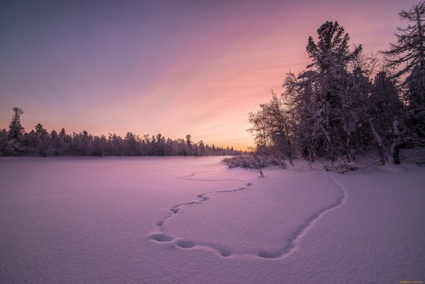 Снежное поле