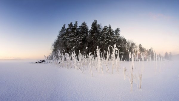 Заснеженное поле