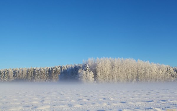 Зимняя равнина