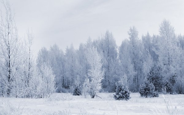Зимняя панорама