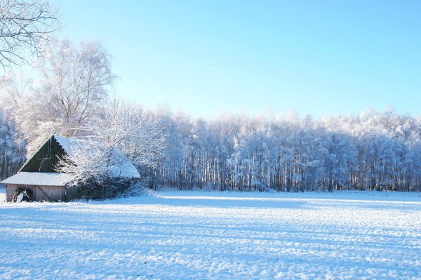 Зимнее поле