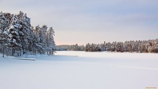 Зимняя панорама