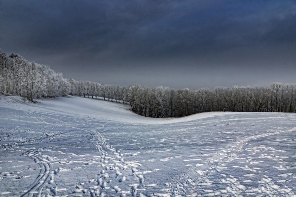 Зимний луг