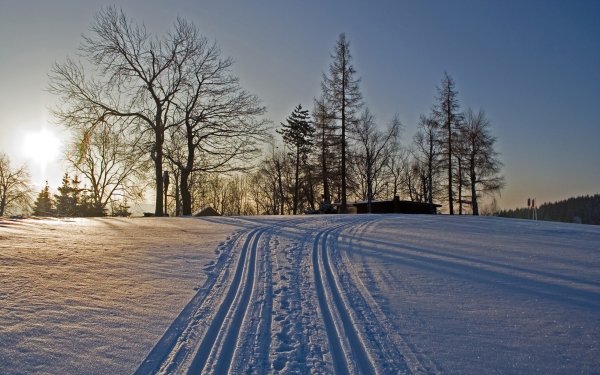 Зимний лес Лыжня