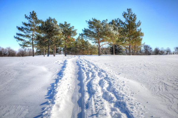 Снежная дорожка