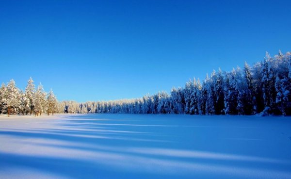 Снежная Поляна