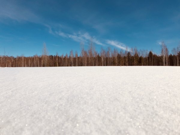 Снежная равнина