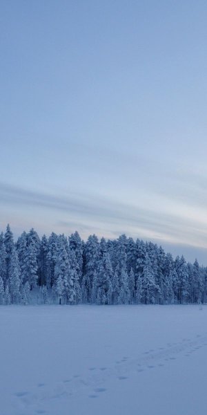 Заснеженное поле
