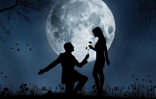 Прогулка под луной