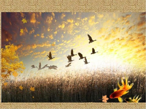 Осень птицы улетают