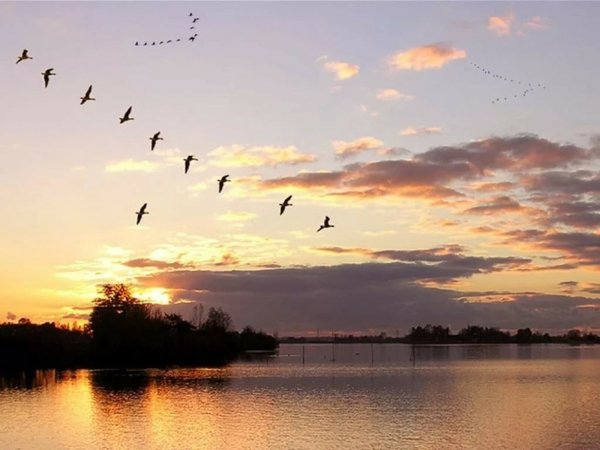 Журавлиный Клин осенью