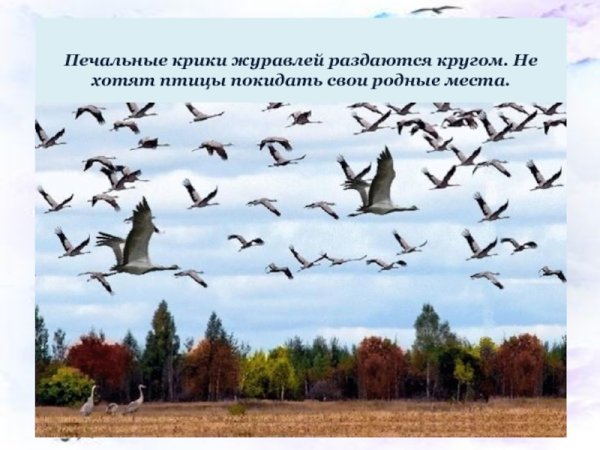 Осень птицы улетают на Юг