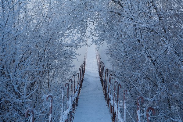 Заснеженный мост