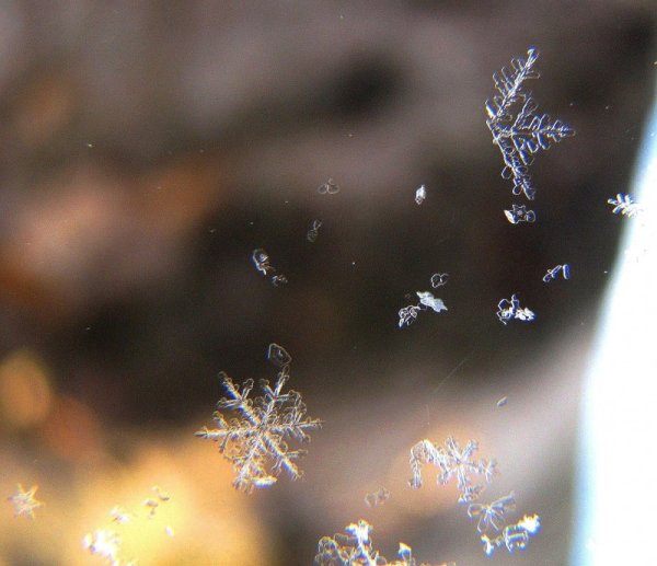 Снежинки в воздухе