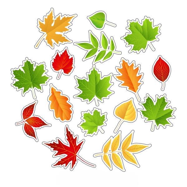 Маленькие осенние листочки