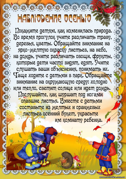 Консультация для родителей осень