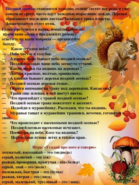 Наблюдение за природой осенью