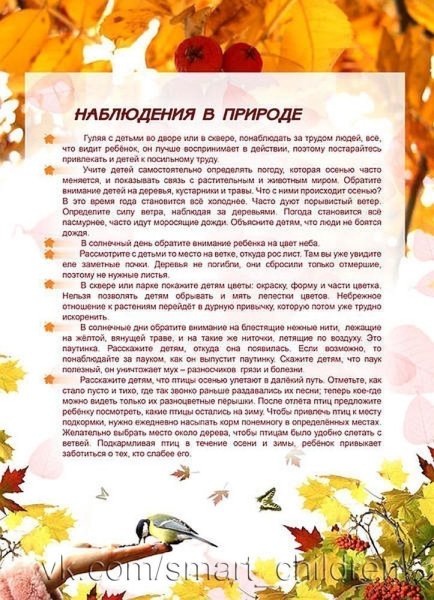 Осенние наблюдения в природе