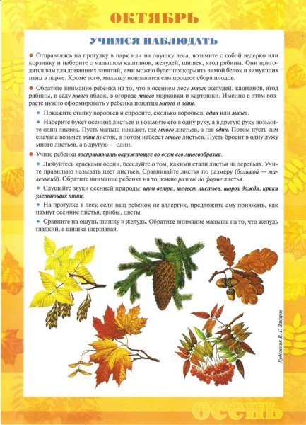 Консультация в уголок осень для детей
