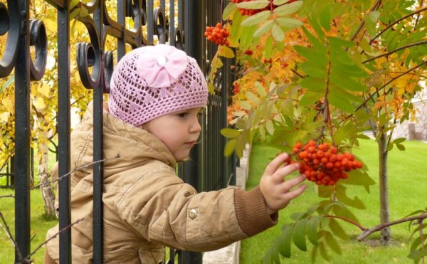 Осень дети наблюдают