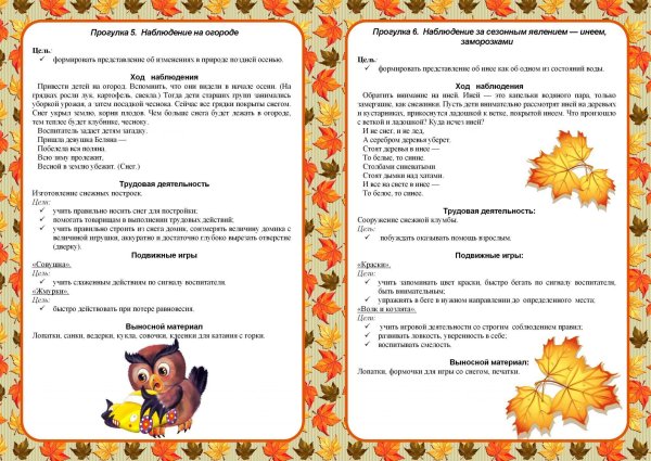 Прогулка в старшей группе картотека с целями по ФГОС