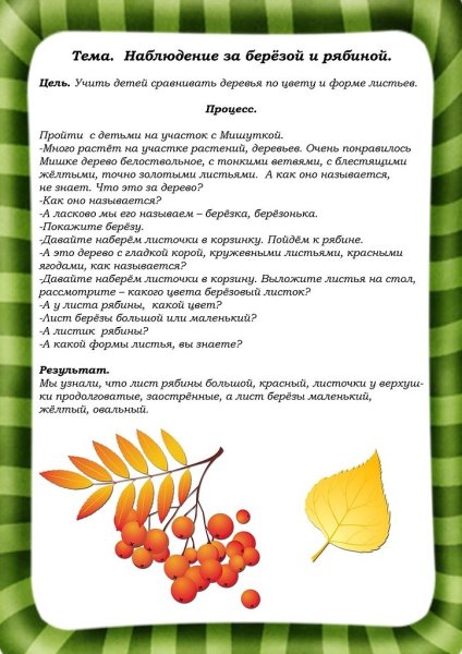 Картотека наблюдений за объектами природы