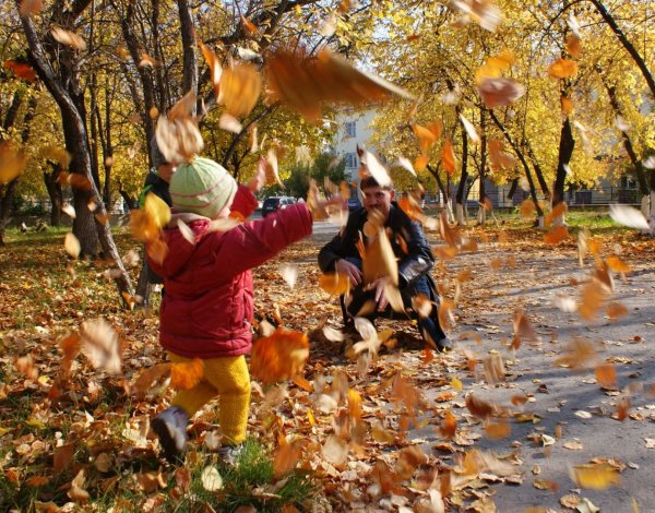 Осенние прогулки с детьми