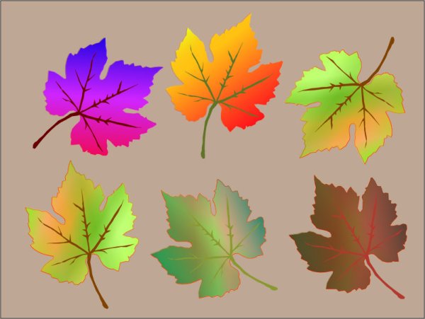 Листики разных цветов