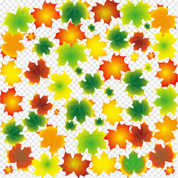 Кленовый лист цветной