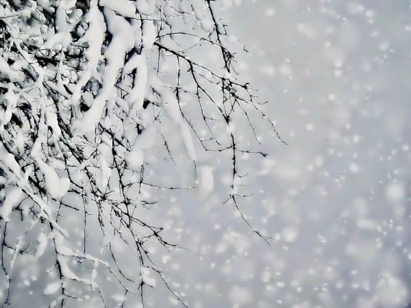 Снег падает хлопьями