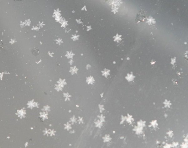 В воздухе первые снежинки