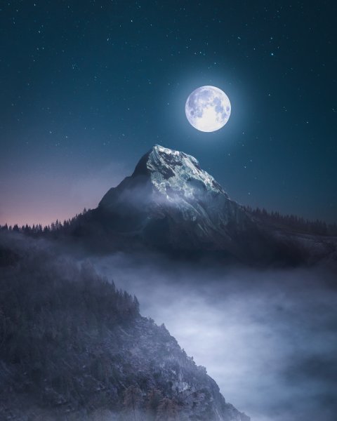 Лунные деревья