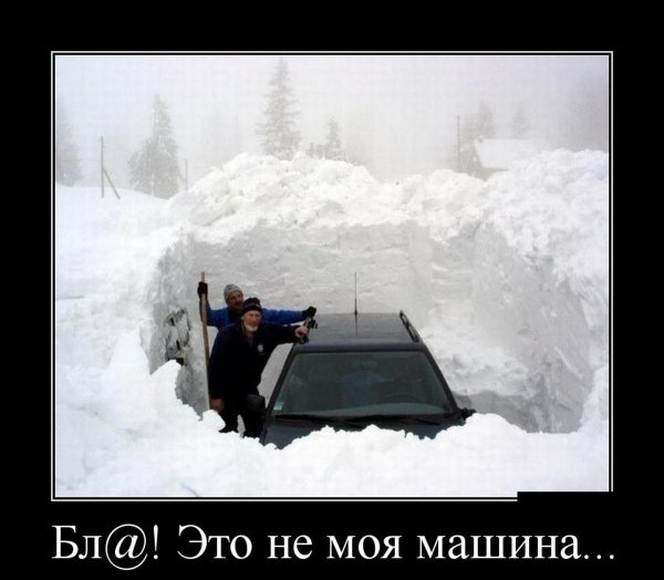 Приколы про снегопад