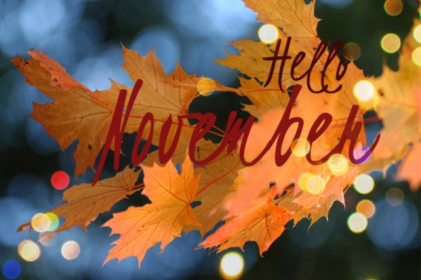 Привет осень ноябрь