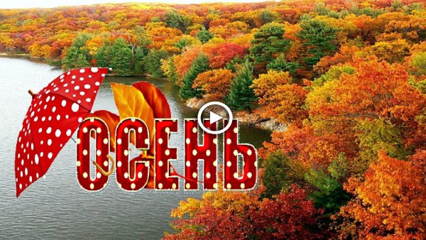 Здравствуй осень Золотая